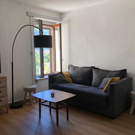 Apartament T2 Avec Terrasse Calme Et Ensoleillee Saint-Claude Zewnętrze zdjęcie